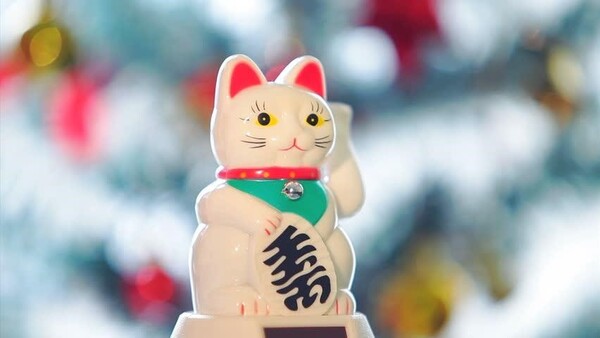 chú mèo maneki neko của nhật bản